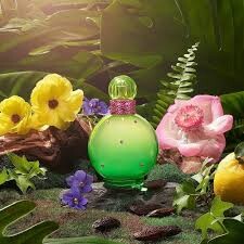 Britney Spears Fantasy Jungle Edt 100 ml - 2