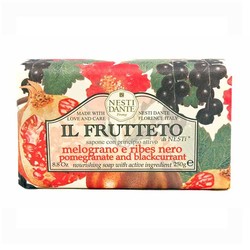 Nesti Dante Il Frutteto Blackcurrant 250g - Nesti Dante