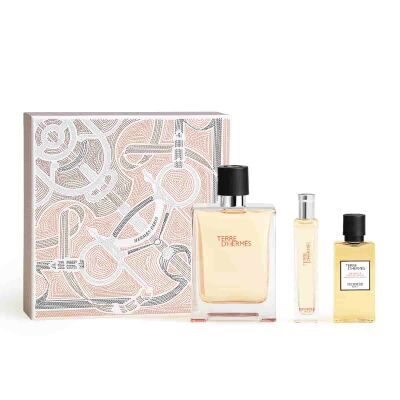 Terre D'Hermes Edt 100 ml Set - 1