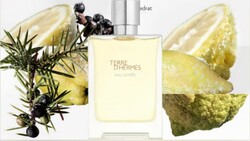 Terre D Hermes EAU Givree Edp 100 ml - 3